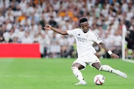 仅靠明星球 仅靠明星球